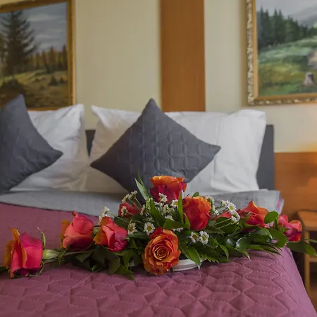 Top Hotel Praha-3