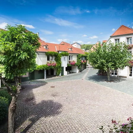 Hotel & Spa A La Cour D'Alsace By Happyculture-3