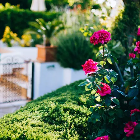 Il Giardino dell'Arte-2