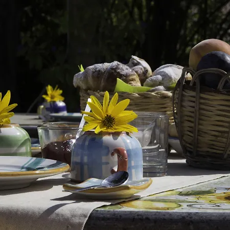 Il Giardino dell'Arte-3