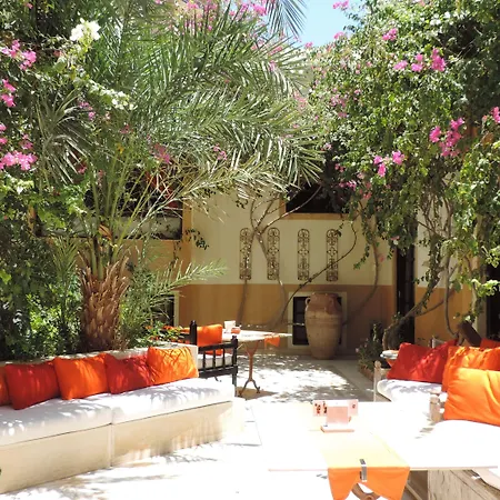 Dawar El Omda (Adults Only)-3