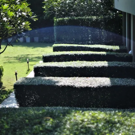 Yoma Hotel, Pai-2