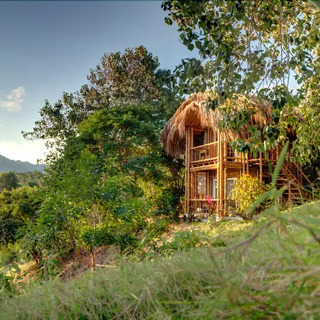 Villa Maria Tayrona, Jungle And Sea Experience-3