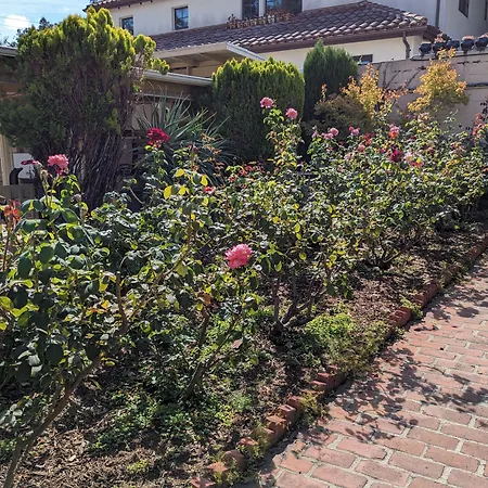 Los Gatos Garden Inn Hotel-3