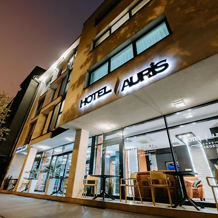 Hotel Auris-3