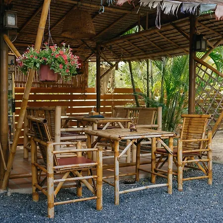 Samui Blue Bird-3
