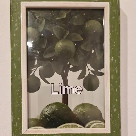B&B Linea Verde-2