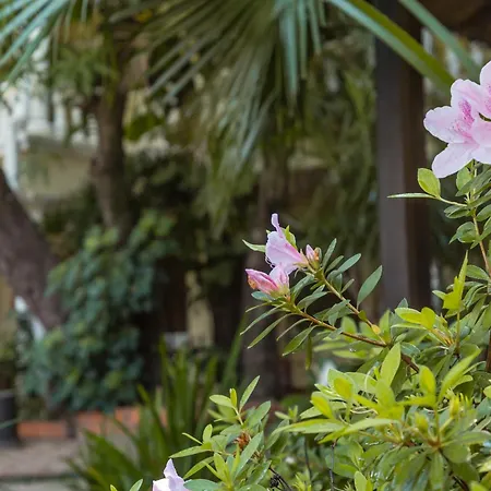 Paramanta Lifestyle Hotel-2
