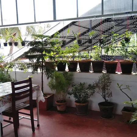 Gloria Homestay-3