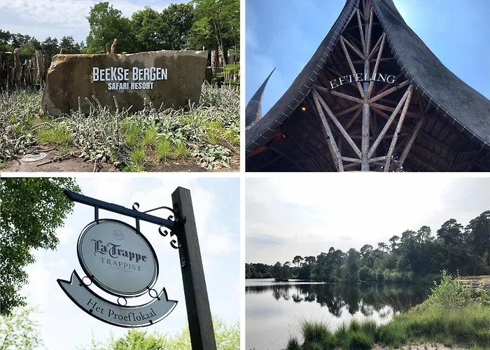 Huisdiervriendelijk hotel: The Old Garage