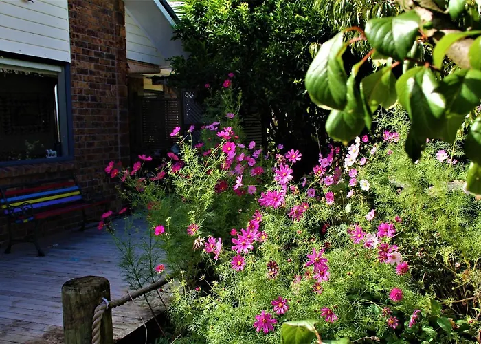 Pet Friendly hotel: U Beauty - B & B