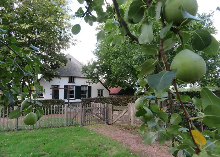 Familiehotel: B&B De Willemshoeve