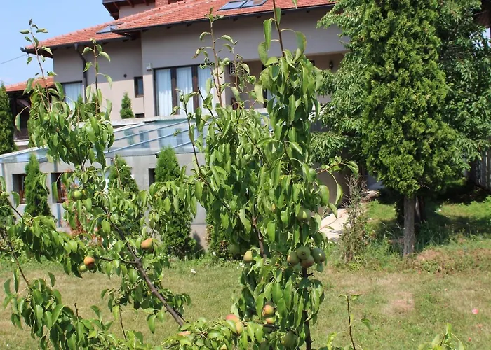 Cengic