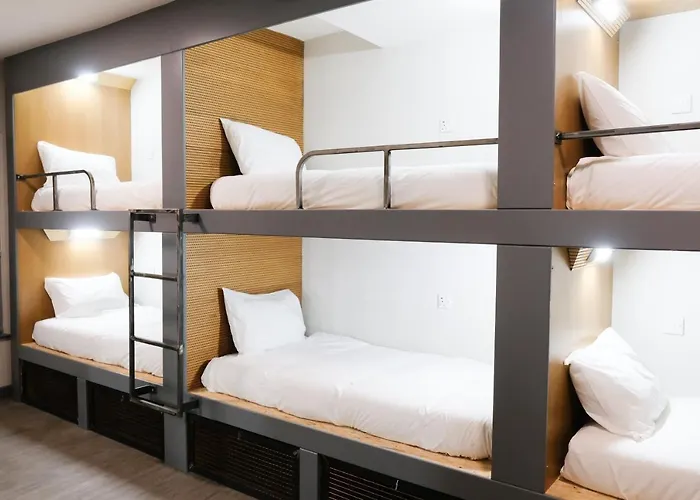 Pets Allowed Hotel Cwtsh Central Swansea, Social & Modern, Near Train Station