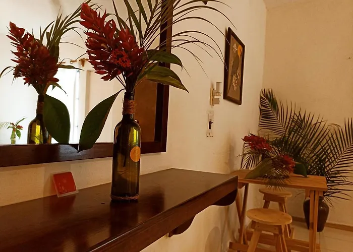 Casa De Los Pájaros
