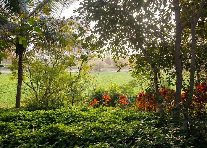 Original cottages Earth Song By Stayvista - Boasting An Open Theatre, Games, Spacious Lawn, Swimming Pool & Conference Room