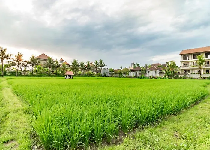 Juli House Ubud By Mahaputra