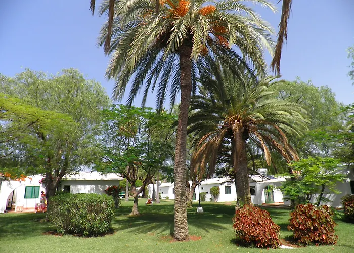 Hotel: Canary Garden Club