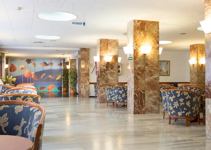 Hôtel central: Tent Bahia De Palma