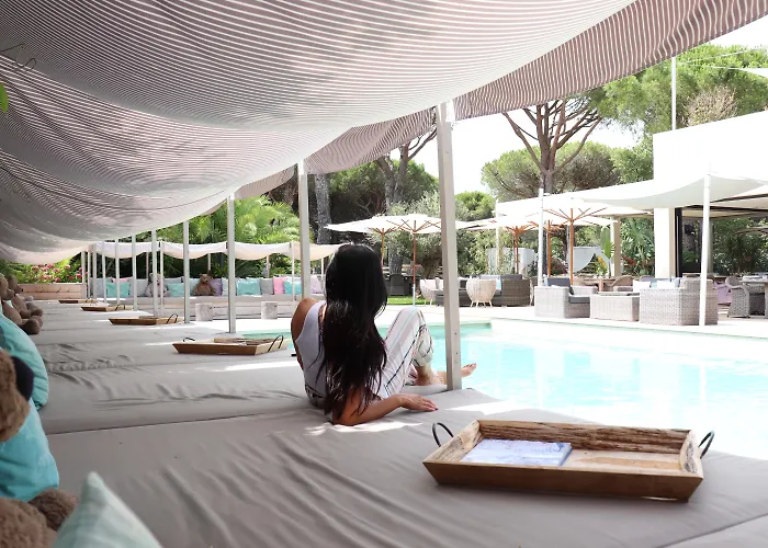 Hôtel accueillant les animaux: Hôtel Font Mourier