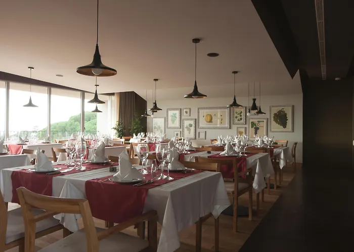 Hotel com piscina: Vale D'Azenha Hotel Rural & Residences