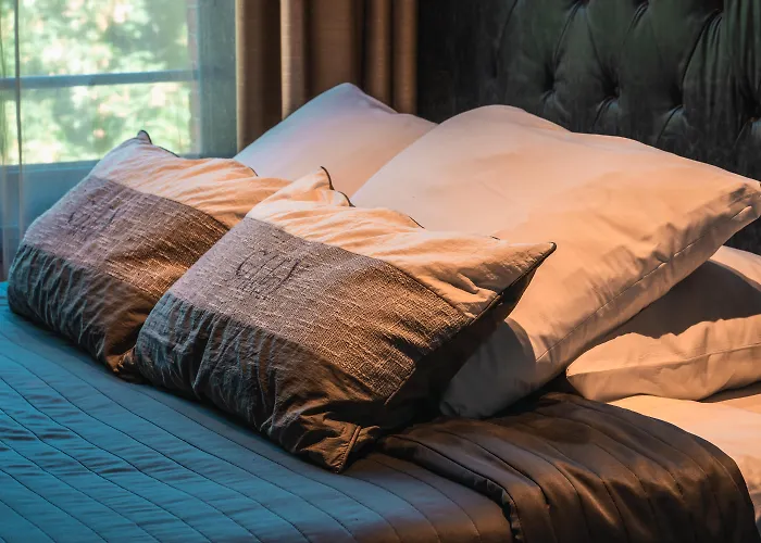 Huisdiervriendelijk hotel: Hotel Piet Hein