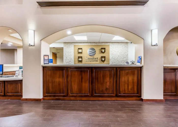 Comfort Inn & Suites Airport-American Way