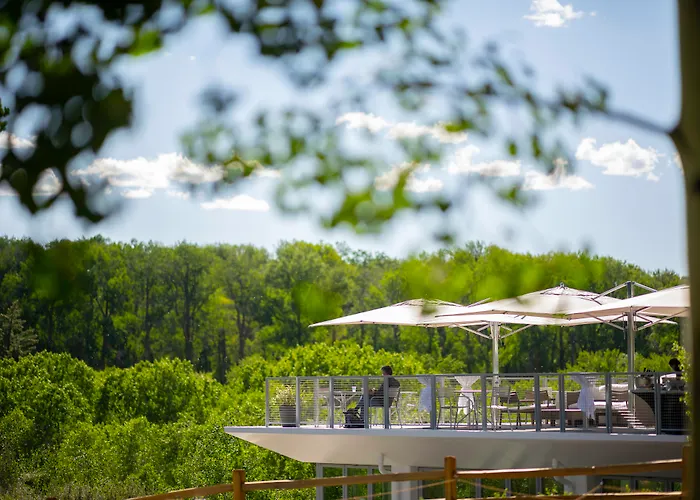 Hotel com piscina: Aspen Meadows Resort