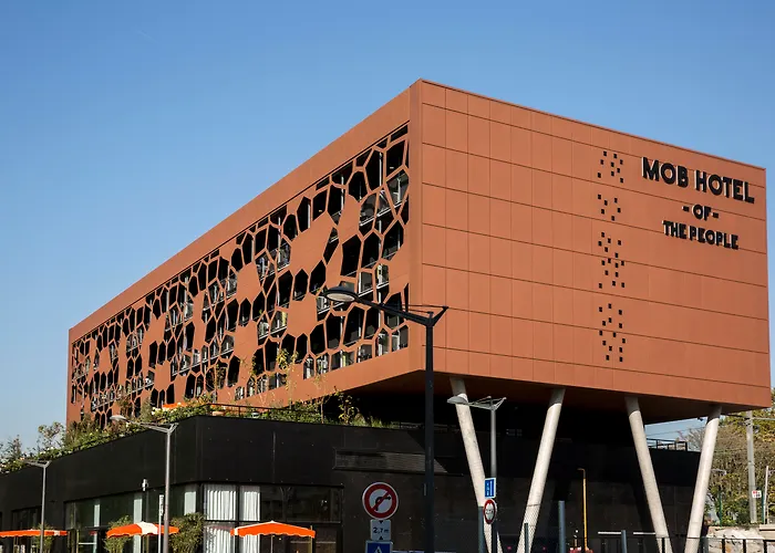 Mob Lyon Confluence
