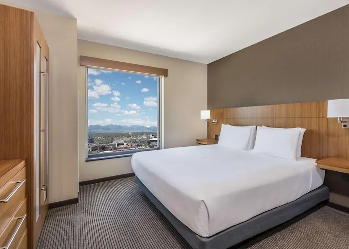 Beach Hotels Hyatt Place Denver Downtown