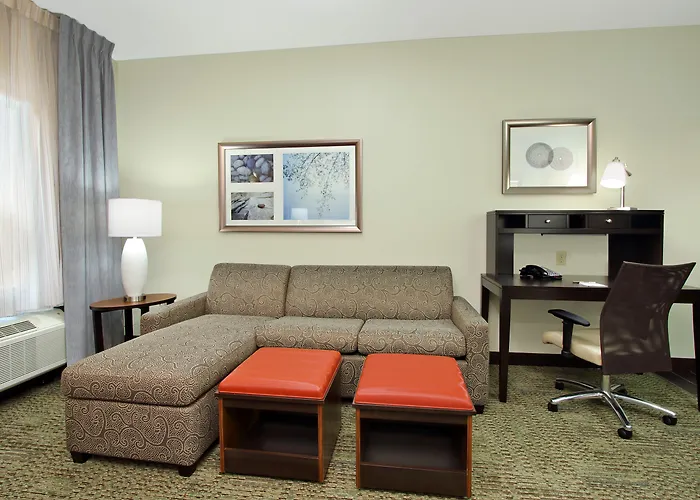 Hotel familiar: Staybridge Suites - Houston - Medical Center By Ihg