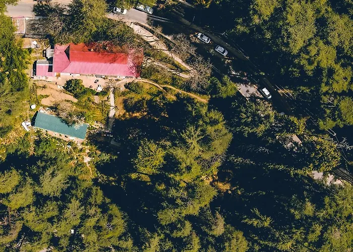 Seclude Shimla, Taraview