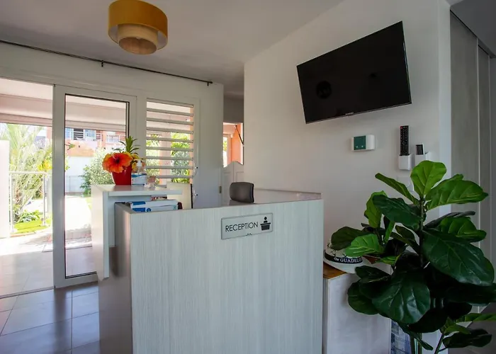 Hôtel Guadeloupe Palm Suites