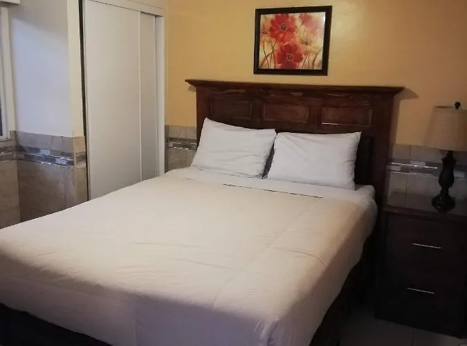 Suites Leon Rojo
