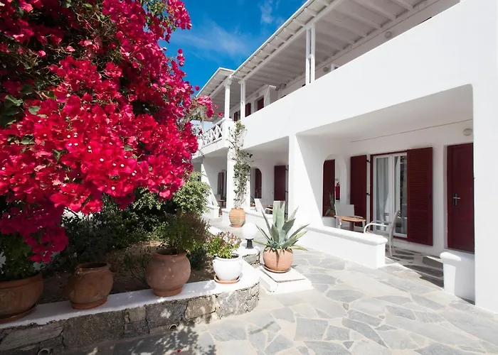 Albergo economico: Domna Hotel