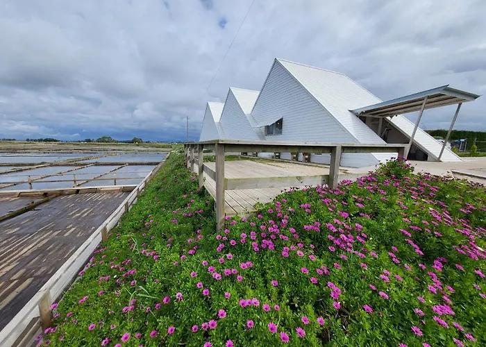 Hotel parque acuático: Barcos Casa Aveiro