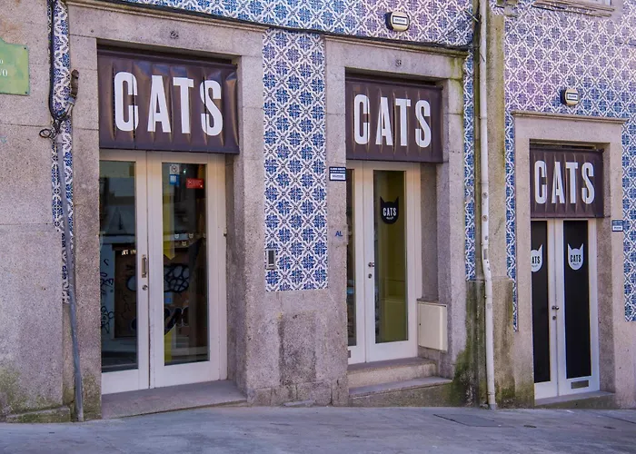 Cats Porto
