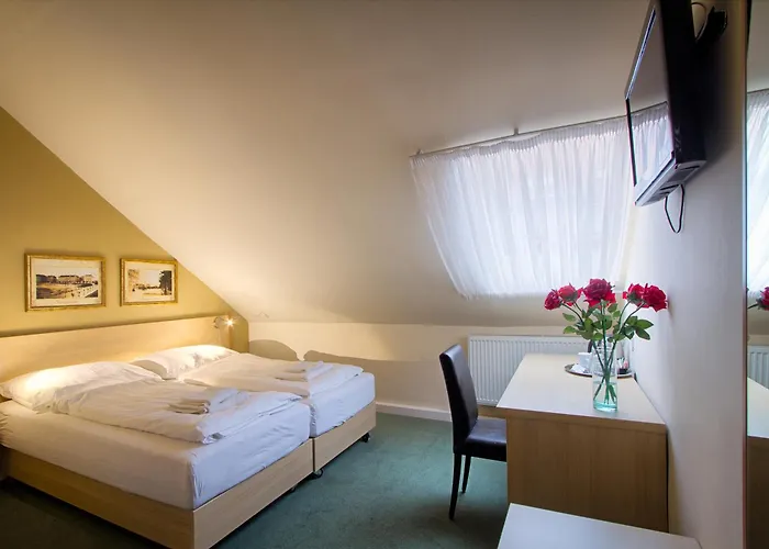 Dog friendly hotels Taurus