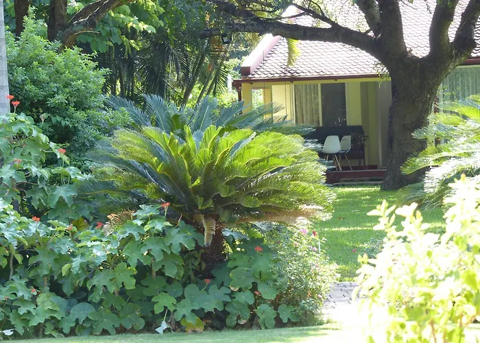 Ancha'S Oasis