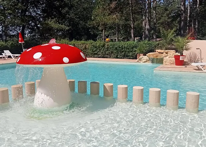 Hôtel accueillant les animaux: Camping Parc Saint Sauvayre