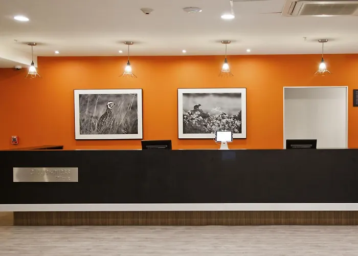 City Express Plus By Marriott Monterrey Nuevo Sur