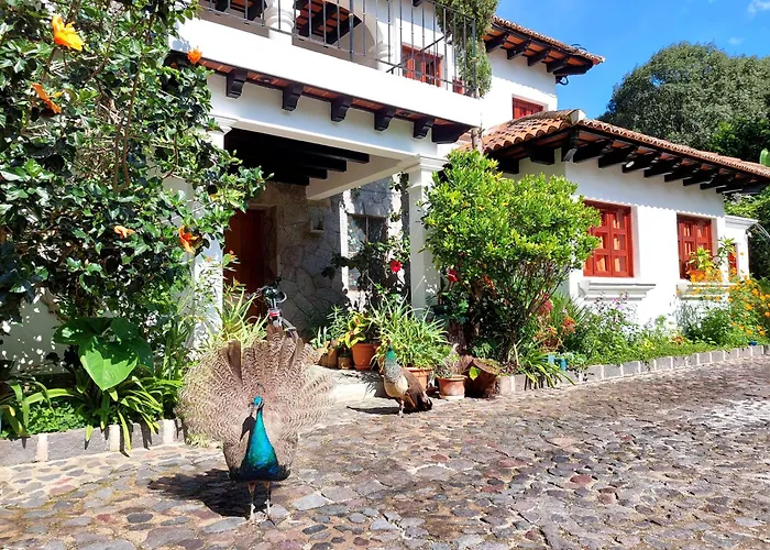 Y Jardines Casa Búho