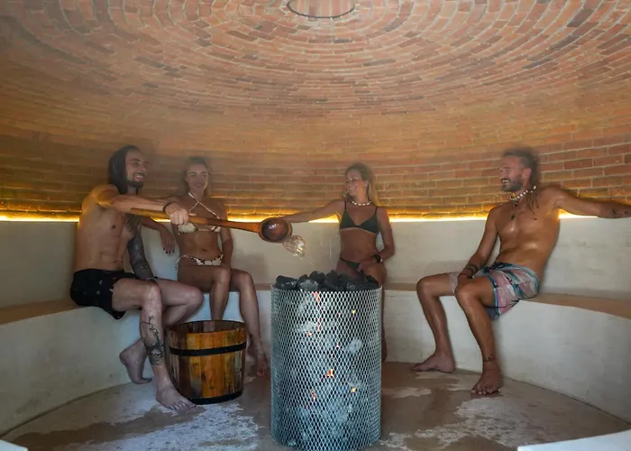 Hotel central: Bufo Alvarius
