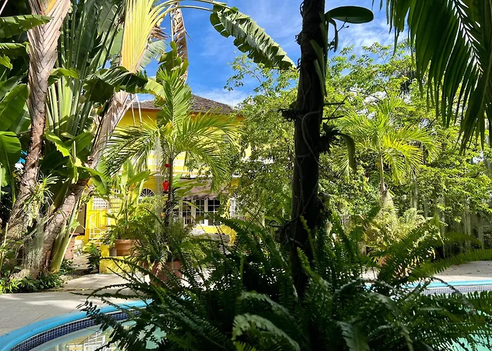 Orchid Cottage