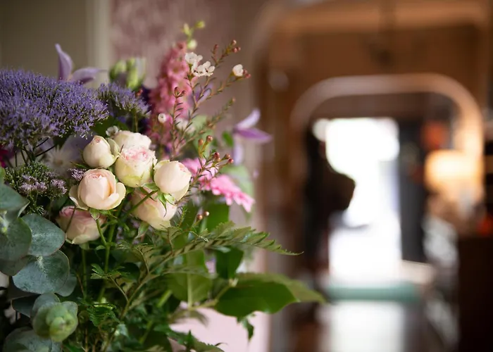  Adare Guesthouse