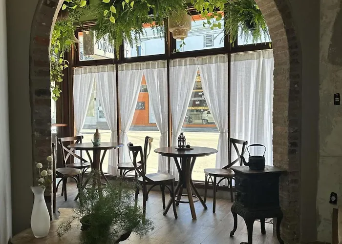 Hotel que aceita animais de estimação: Hotel Imigrantes