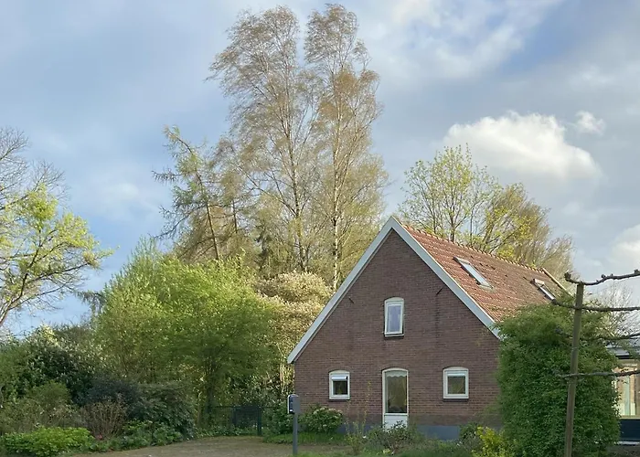 Vakantiehuisje De Fiere - Wijngaard