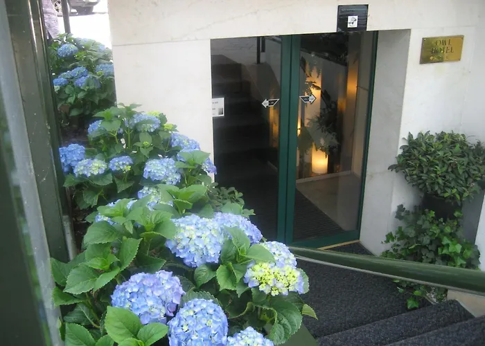 Hotel: Owl Hotel