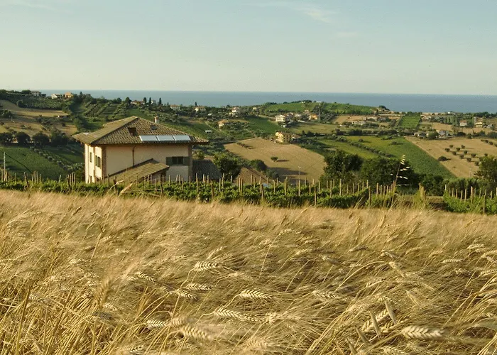 L'Orso e L'Ape B&B