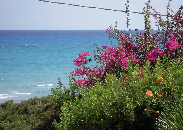 Hotel Simius Playa